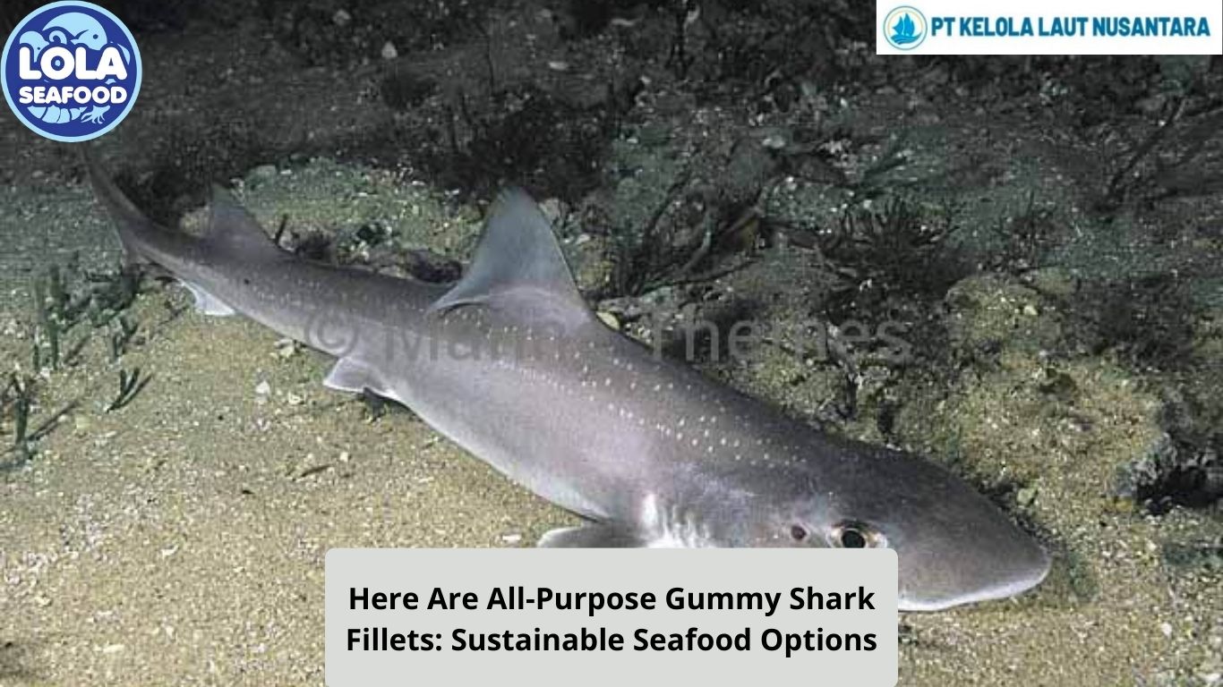 Here Are All-Purpose Gummy Shark Fillets: Sustainable Seafood Options